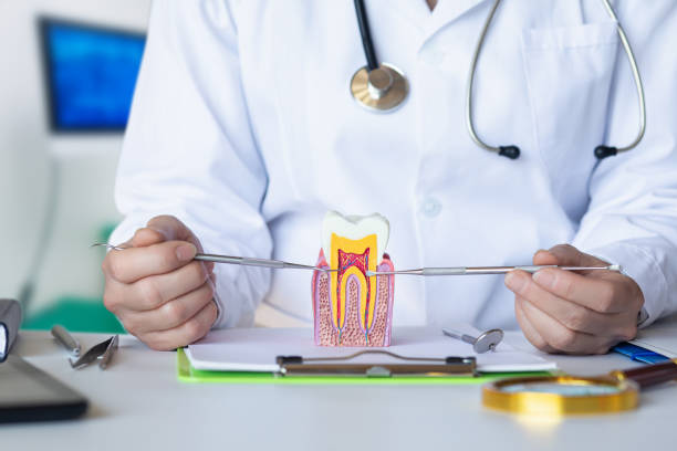 Best Emergency Dental Care for Trauma or Injury in Garretson, SD